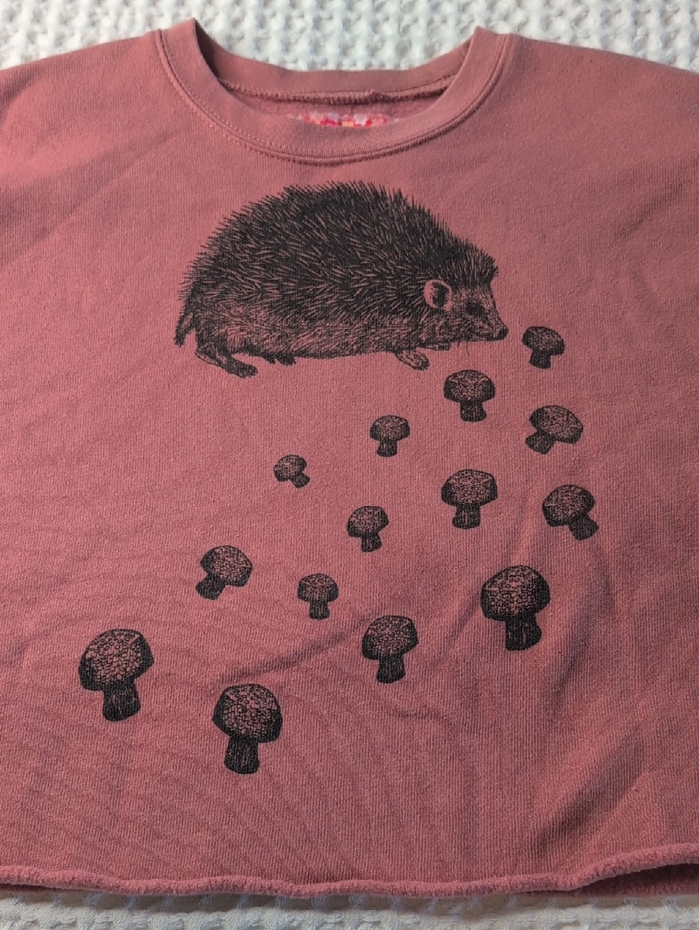 Pink Hedgehog & Mushroom Graphic Women's Cropped Sweatshirt